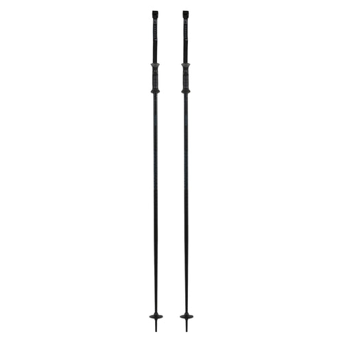 Triad Adult Ski Poles