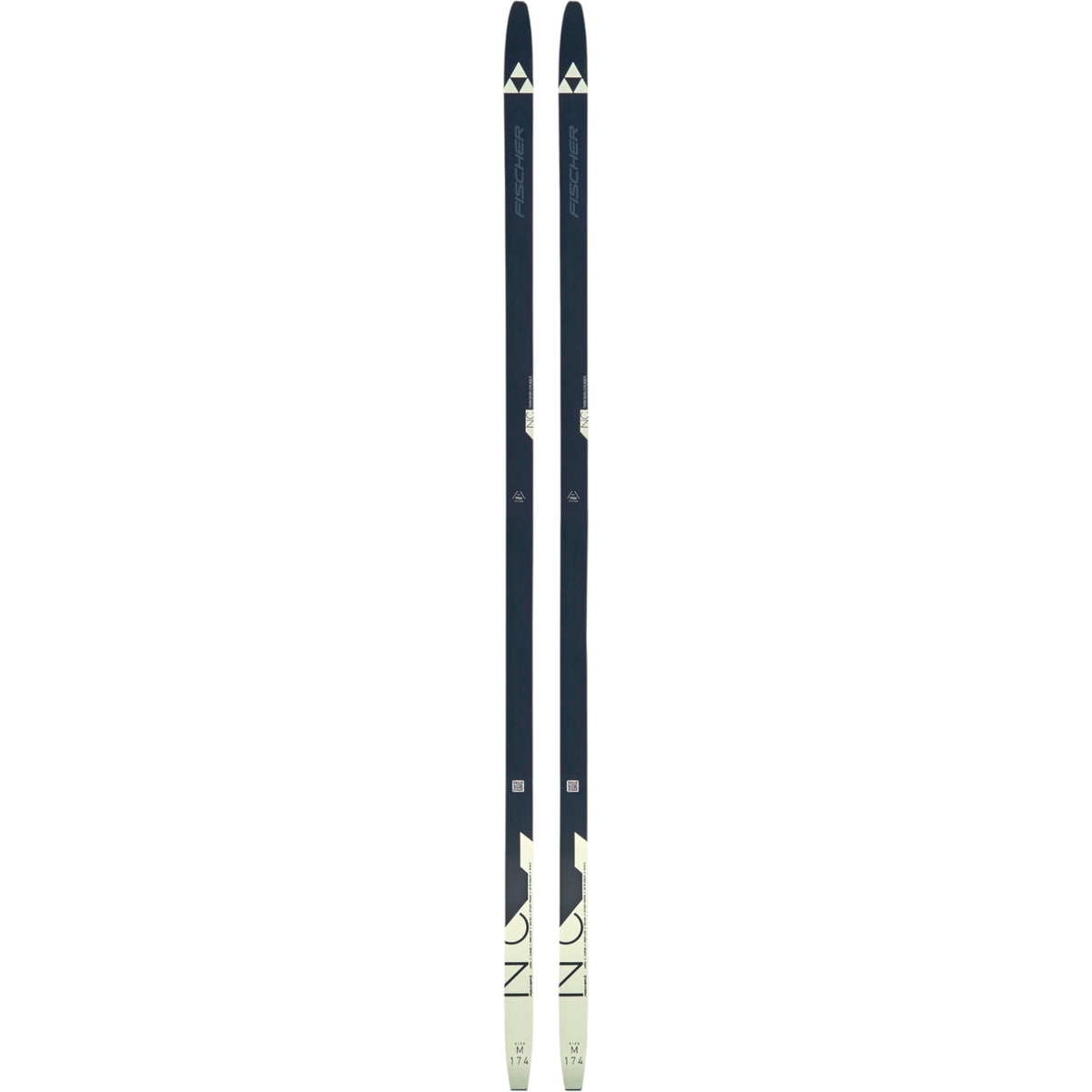 Fischer L