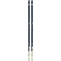 Fischer L