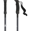 AMT Kids Ski Poles