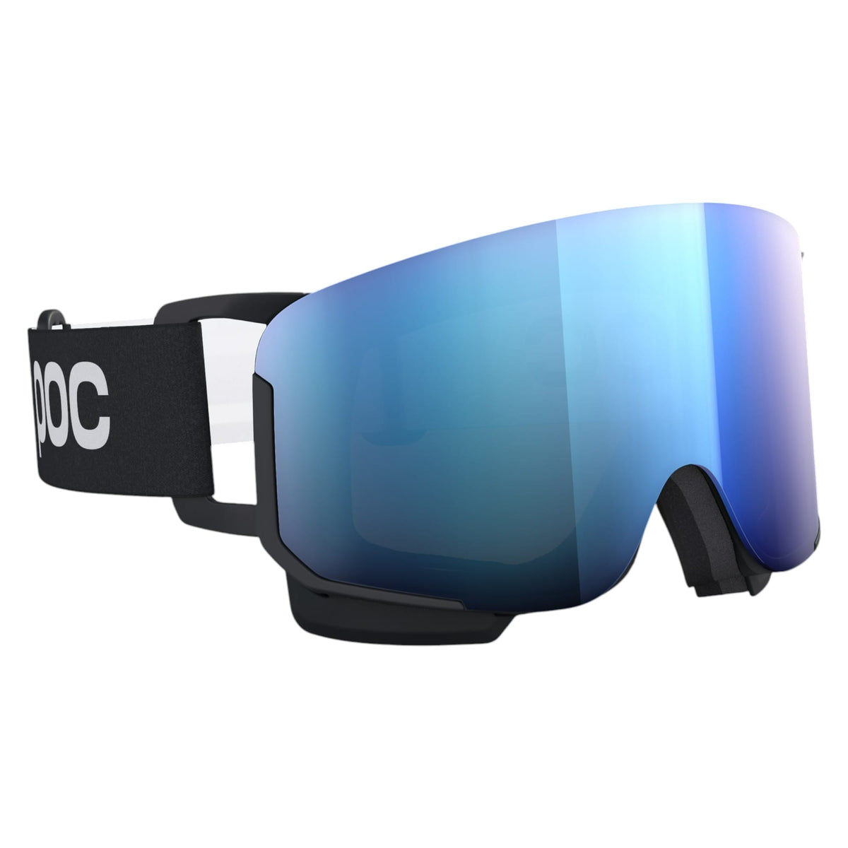 Lunettes de Ski Nexal Adulte