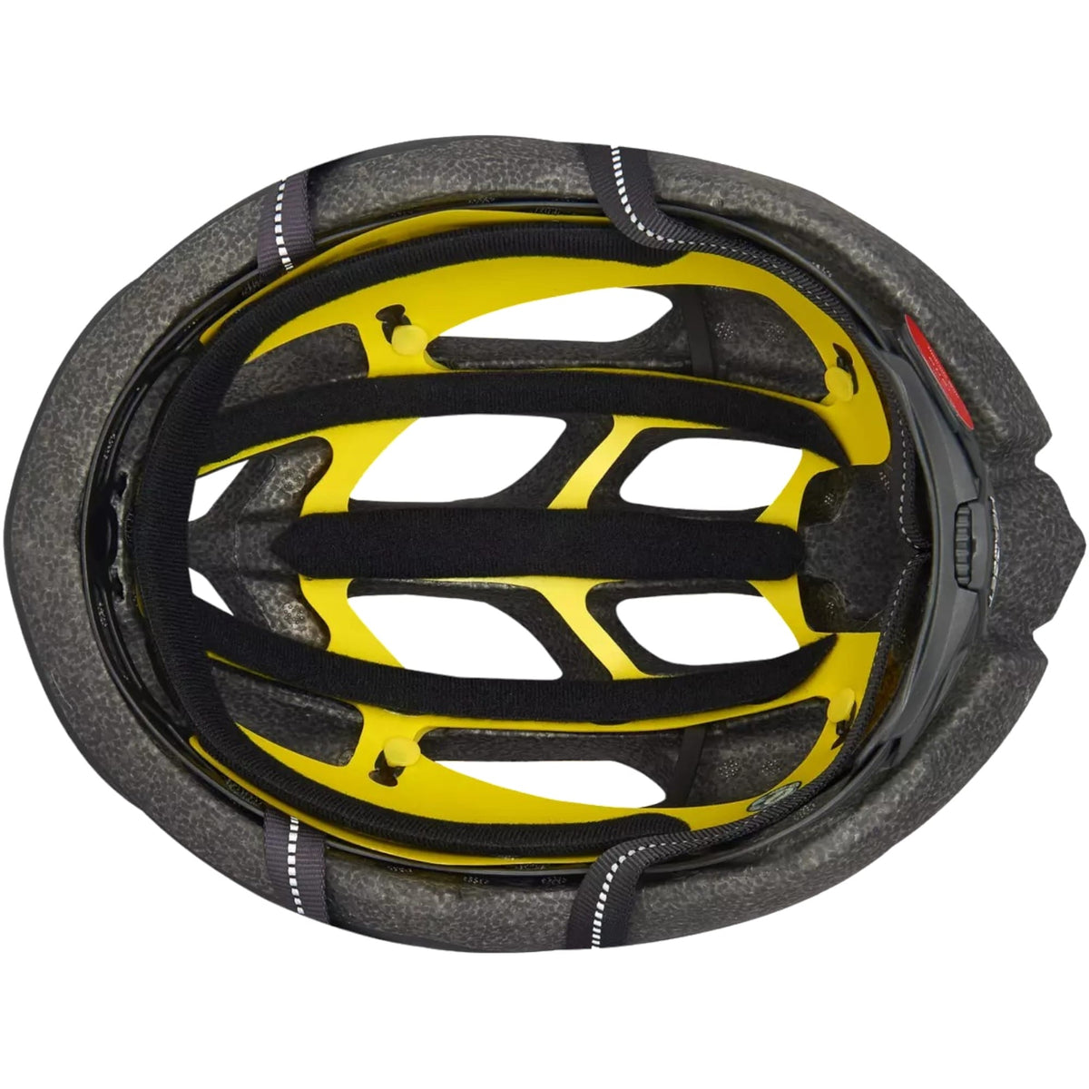 Chamonix Mips Adult Bike Helmet