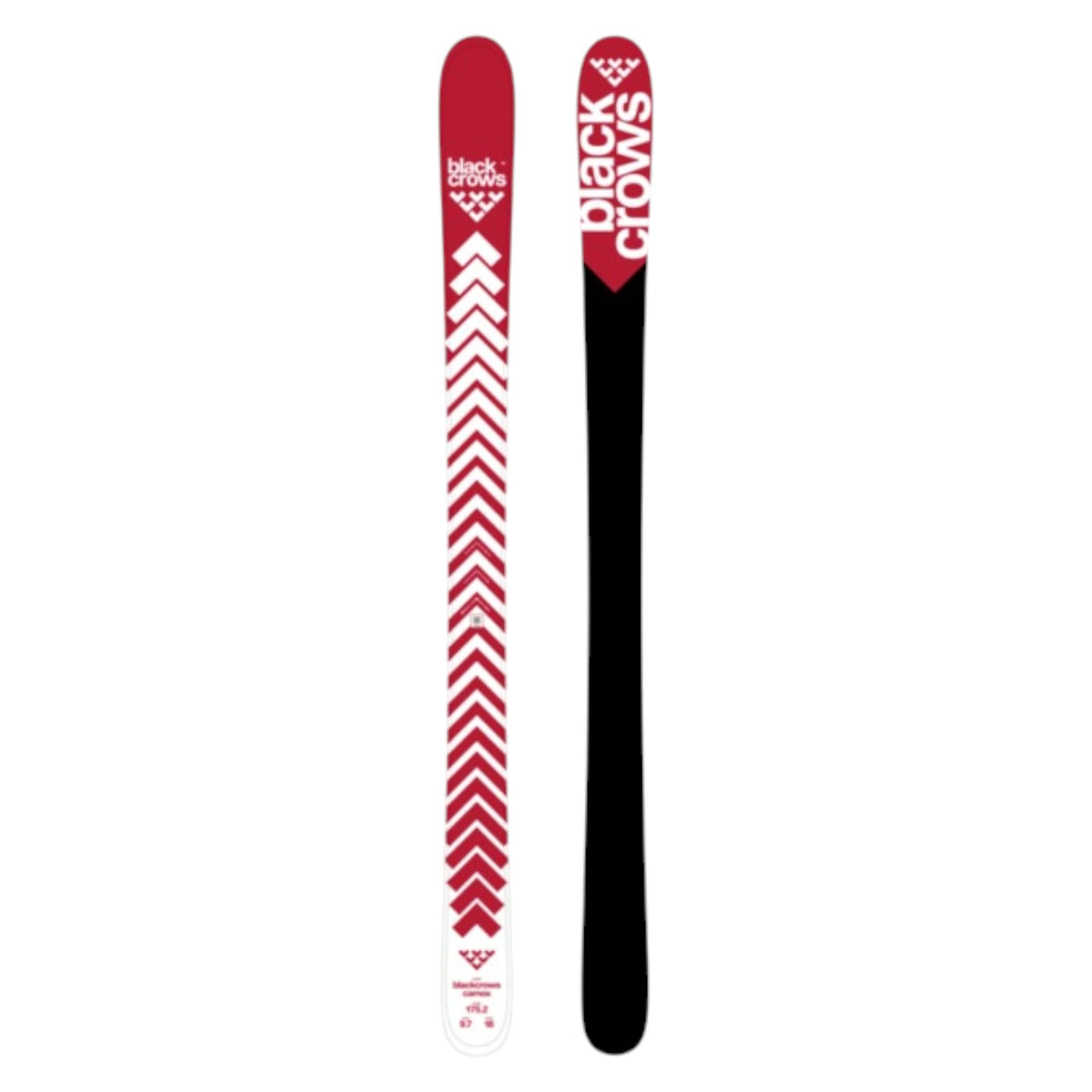 Camox Adult Alpine Skis