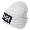 Box Adult Beanie