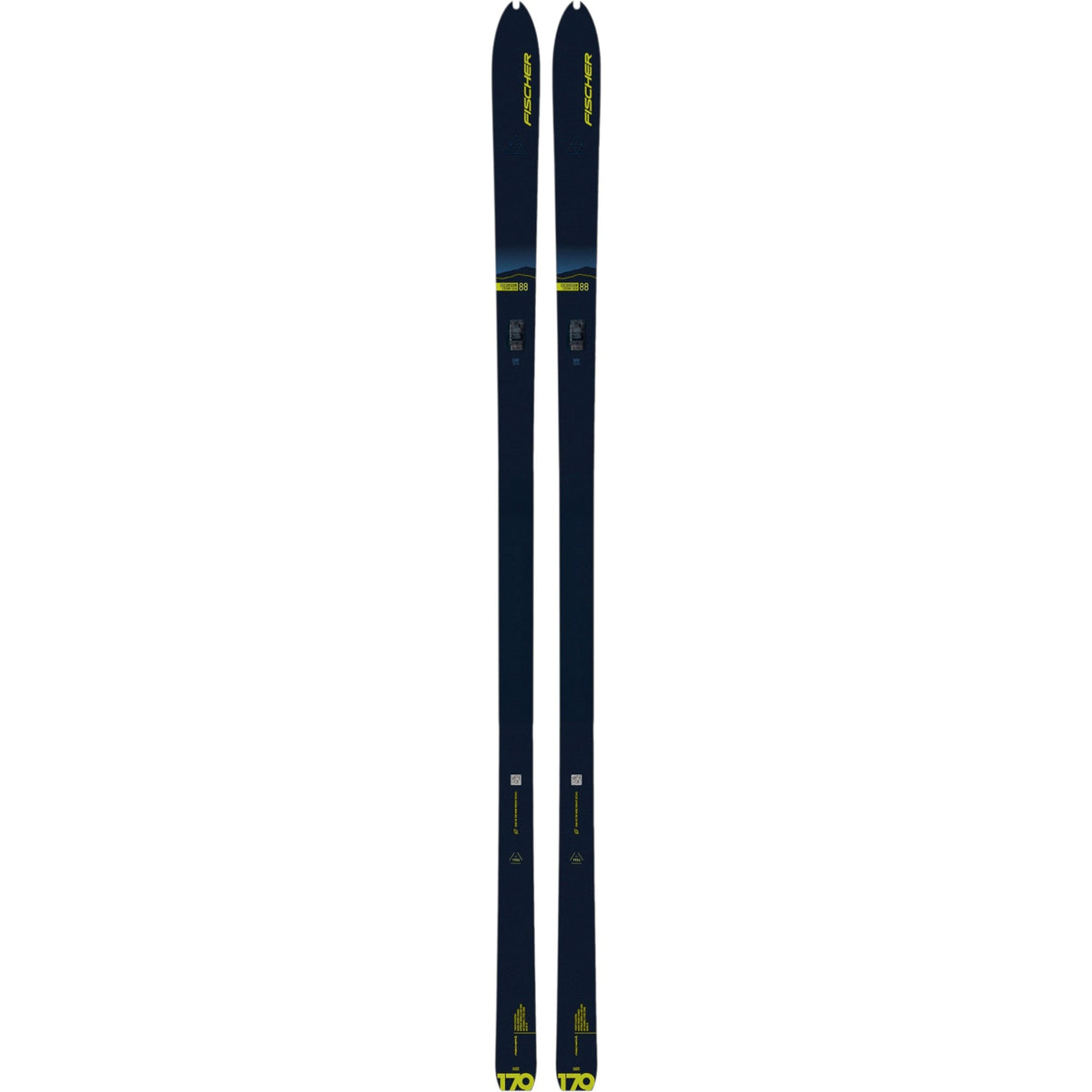 Fischer 169