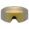 Fall Line L Adult Ski Goggles