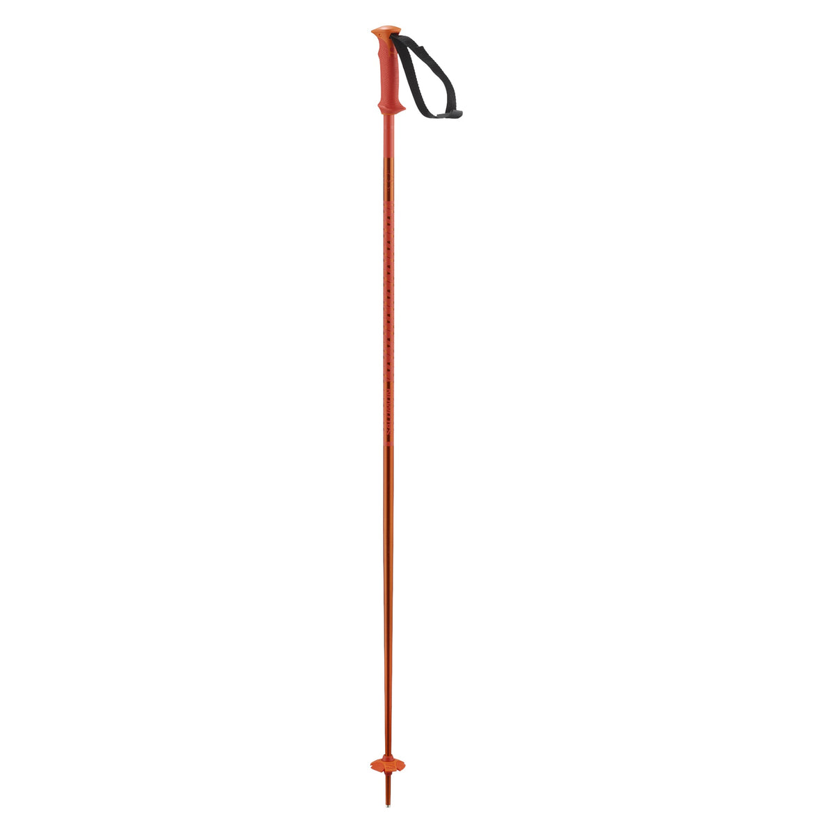 Polar Adult Ski Poles