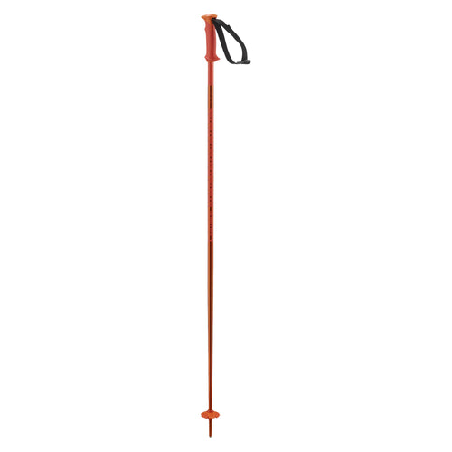Polar Adult Ski Poles
