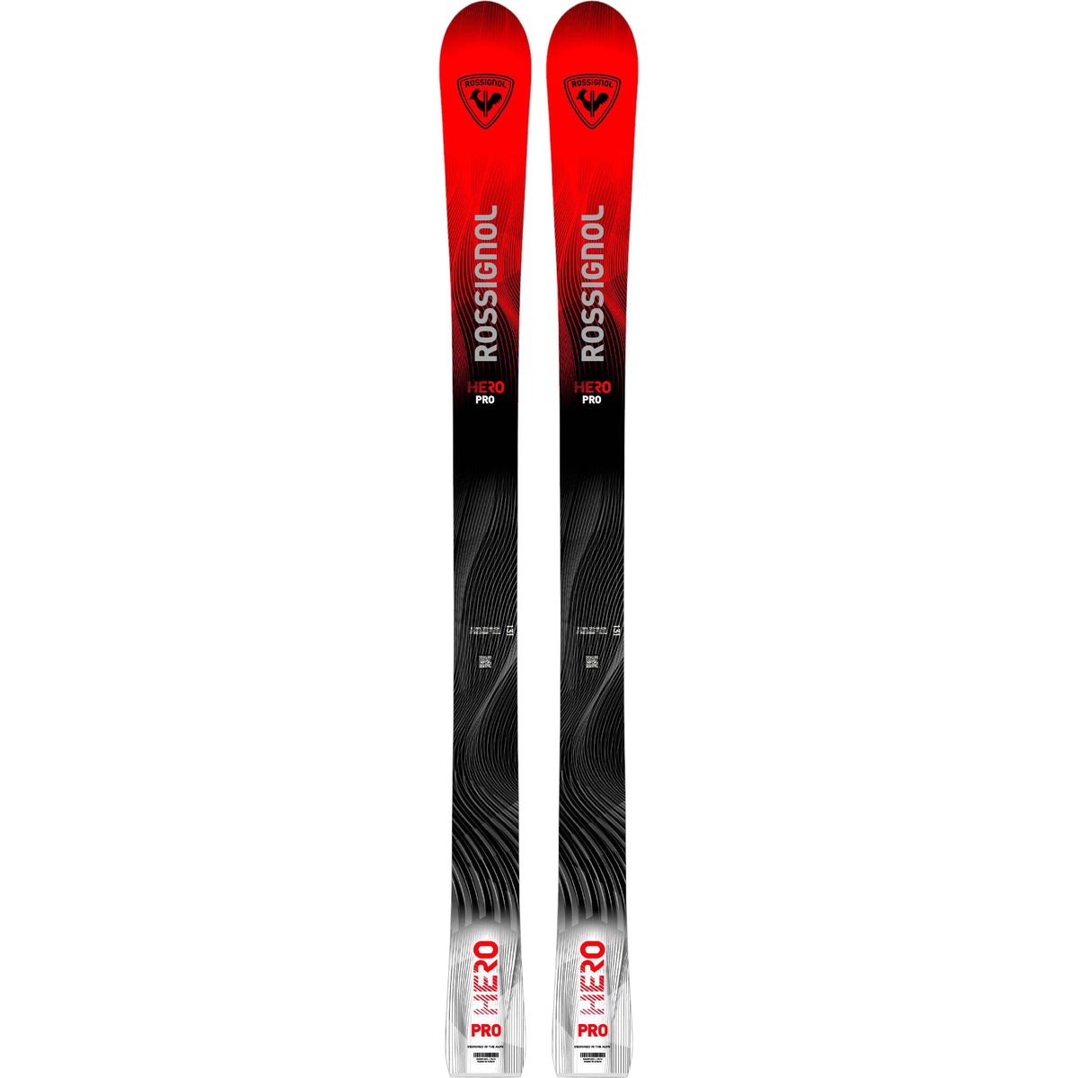 Rossignol 110