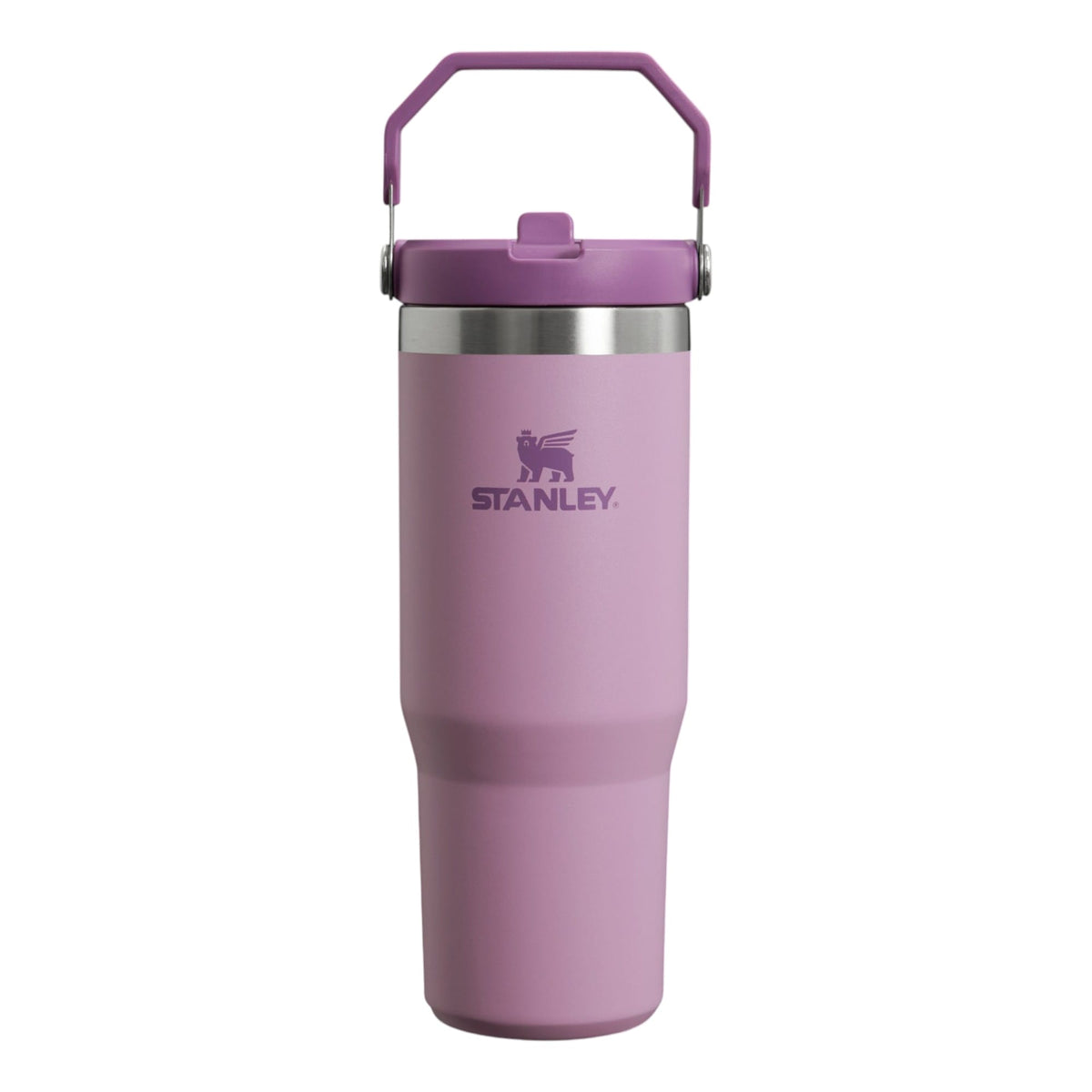 Bouteille The Iceflow Flip Straw 2.0
