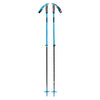 Traverse Adult Ski Poles