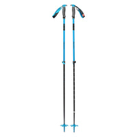 Traverse Adult Ski Poles