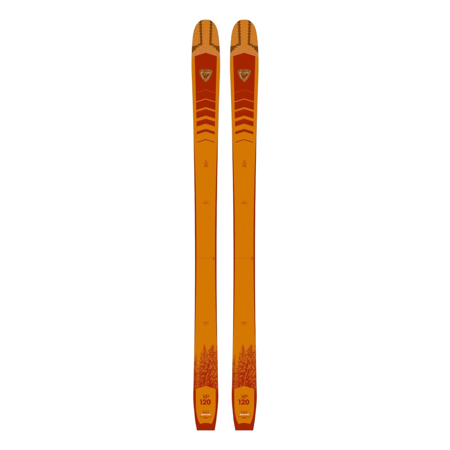 Skis de Fond XP 120 Positrack Adulte