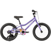 FR-16 Kids Hybrid Bike