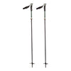 Compactor Adult Ski Poles