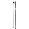 Bâtons de Ski de Fond Dynamic D2 Adulte