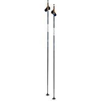 Bâtons de Ski de Fond Dynamic D2 Adulte