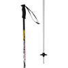 Rossignol 110