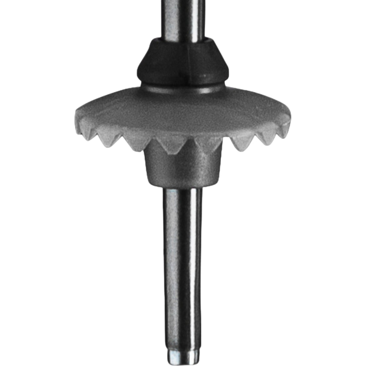 Bliss Women Ski Poles