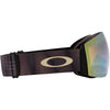 Flight Deck L Adult Ski Goggles