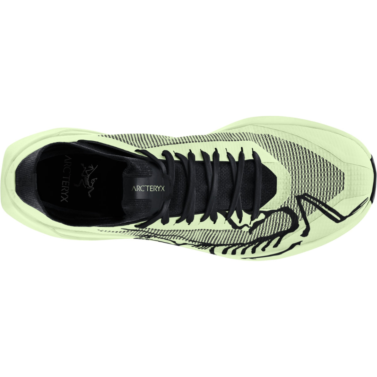 Arc'teryx Shincha/Shincha.023035 4.5