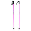 Prodigy Adult Ski Poles