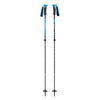 Razor Carbon Pro Adult Ski Poles