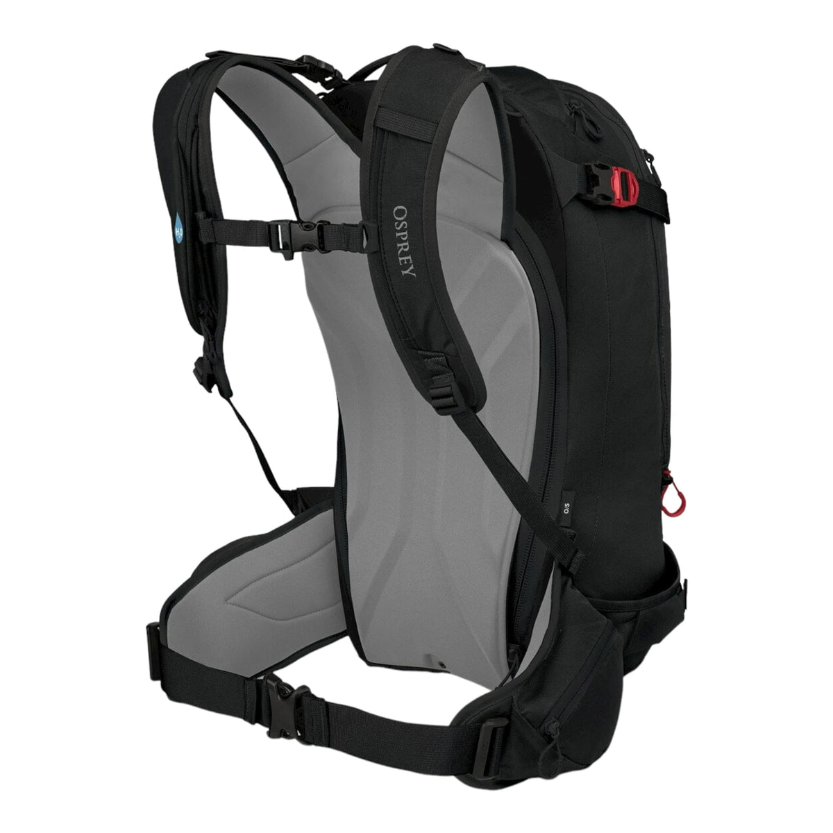 Kamber 30 Adult Skis Bag