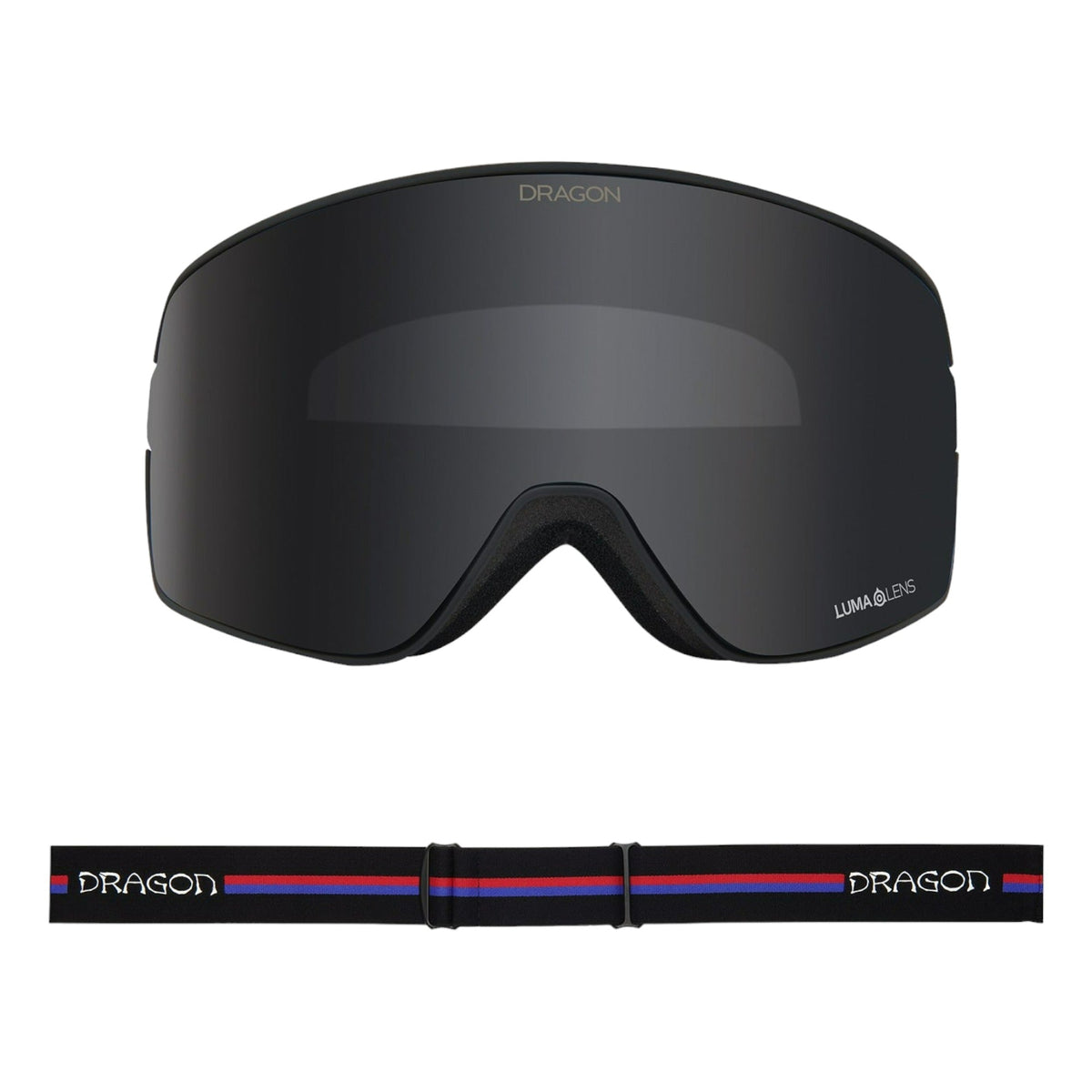 NFX2 Adult Ski Goggles