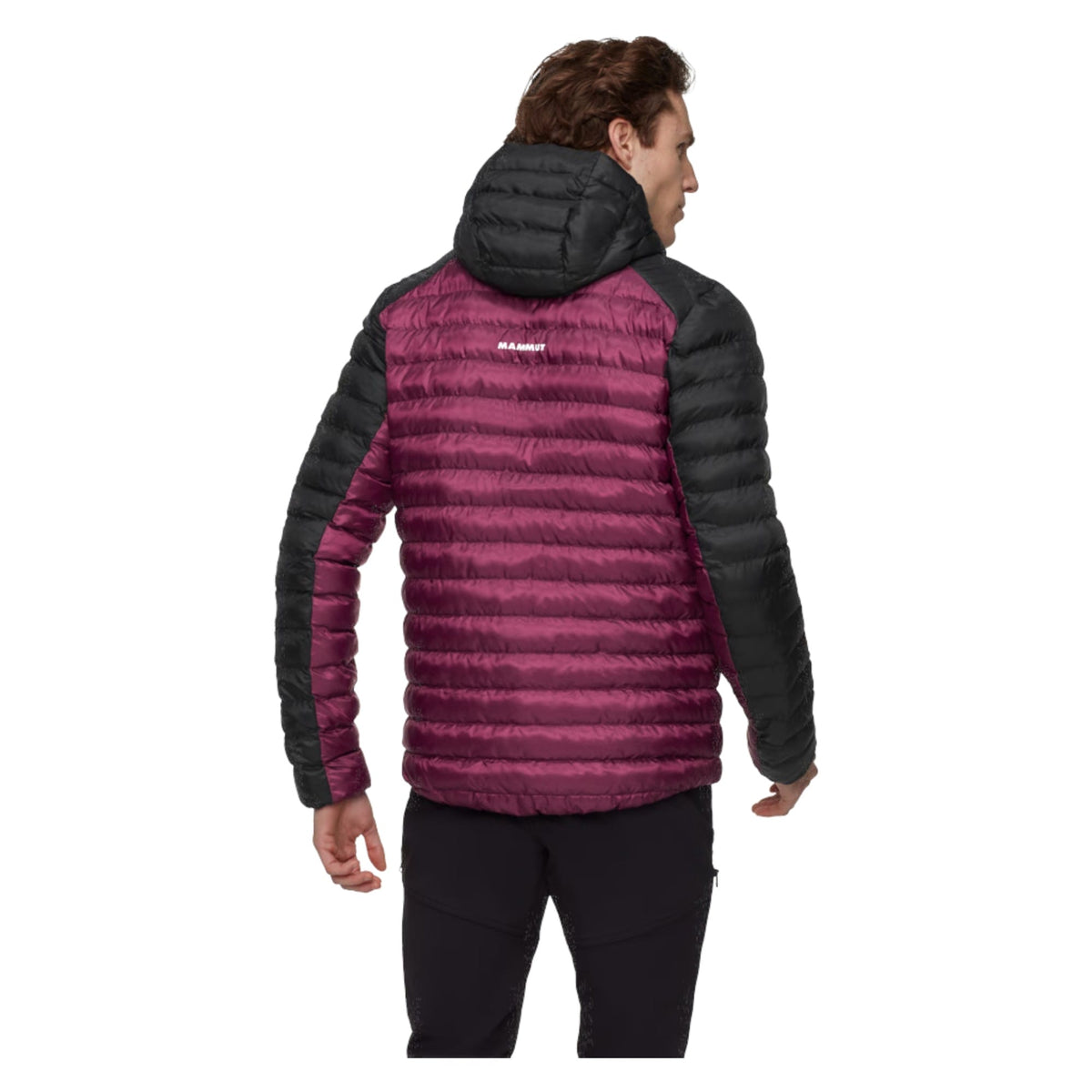 Veste à Capuche Isolante Albula IN Hooded Homme