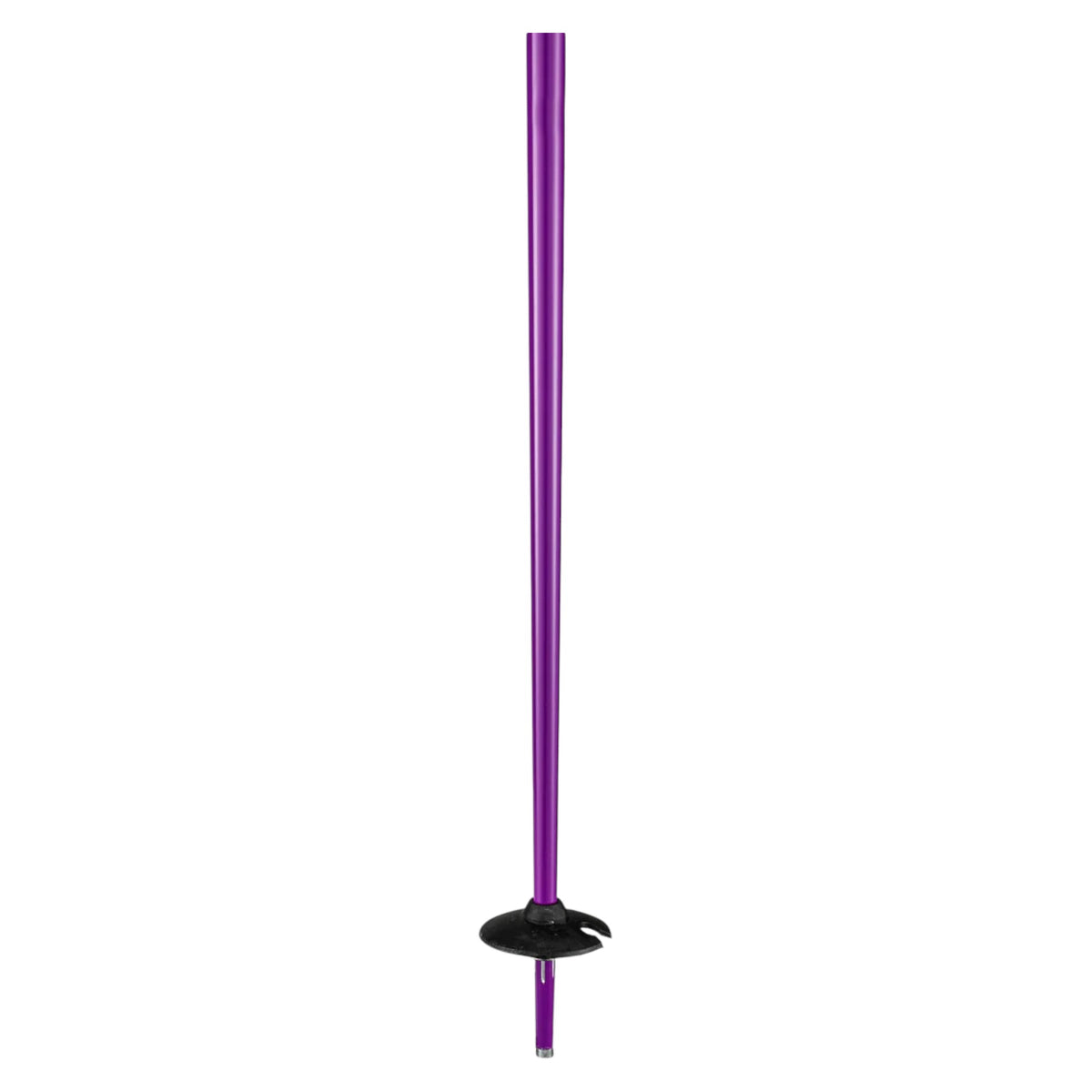 Bâtons de Ski Prodigy Adulte