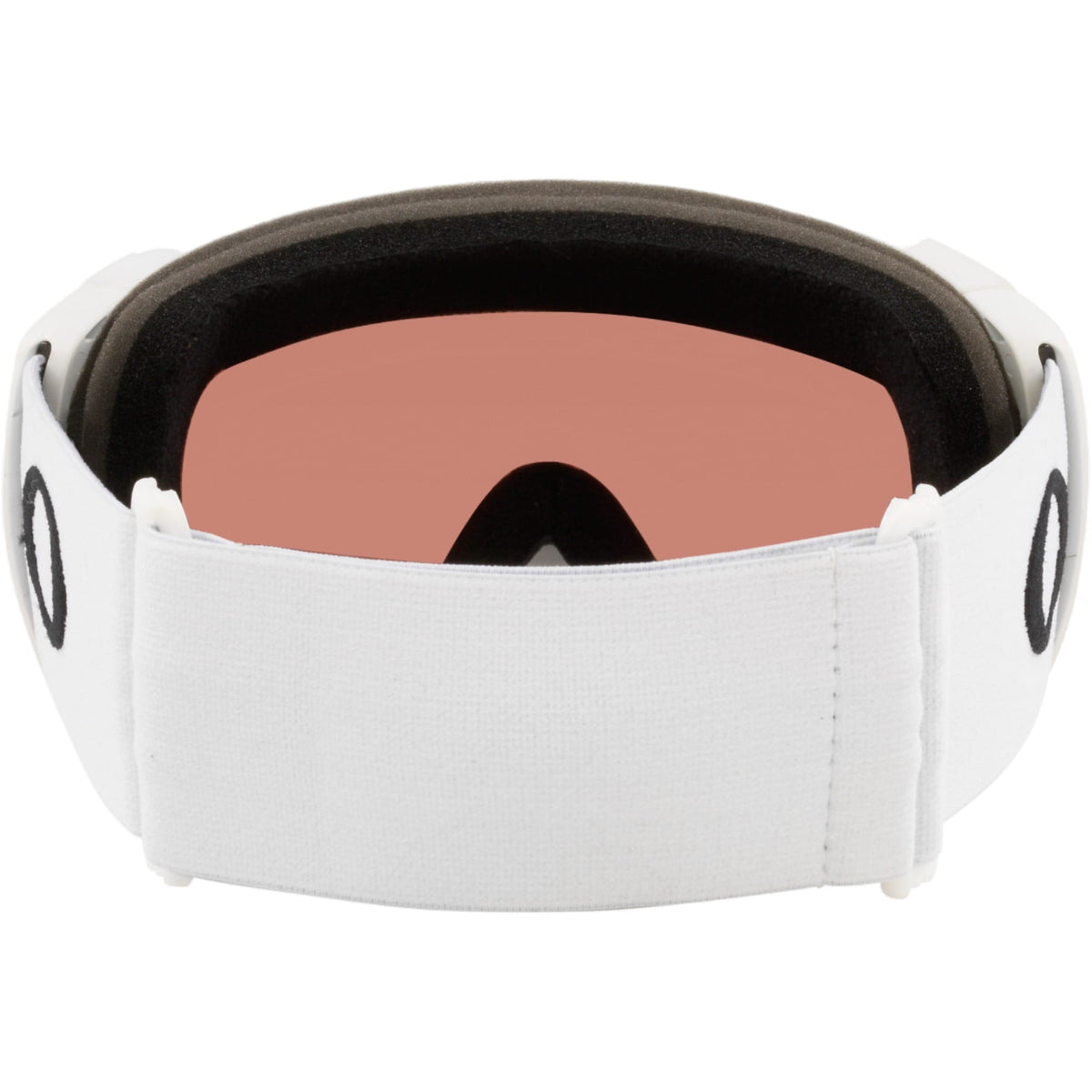 Flight Path L Adult Ski Goggles