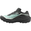 Salomon Lichen/Noir/Clearly Aqua 6.0