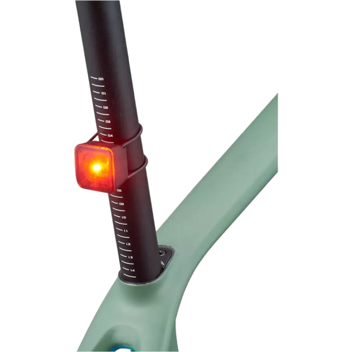 Flashback & Winx Combo