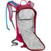L.U.X.E. 100 Oz Adult Hydratation Bag