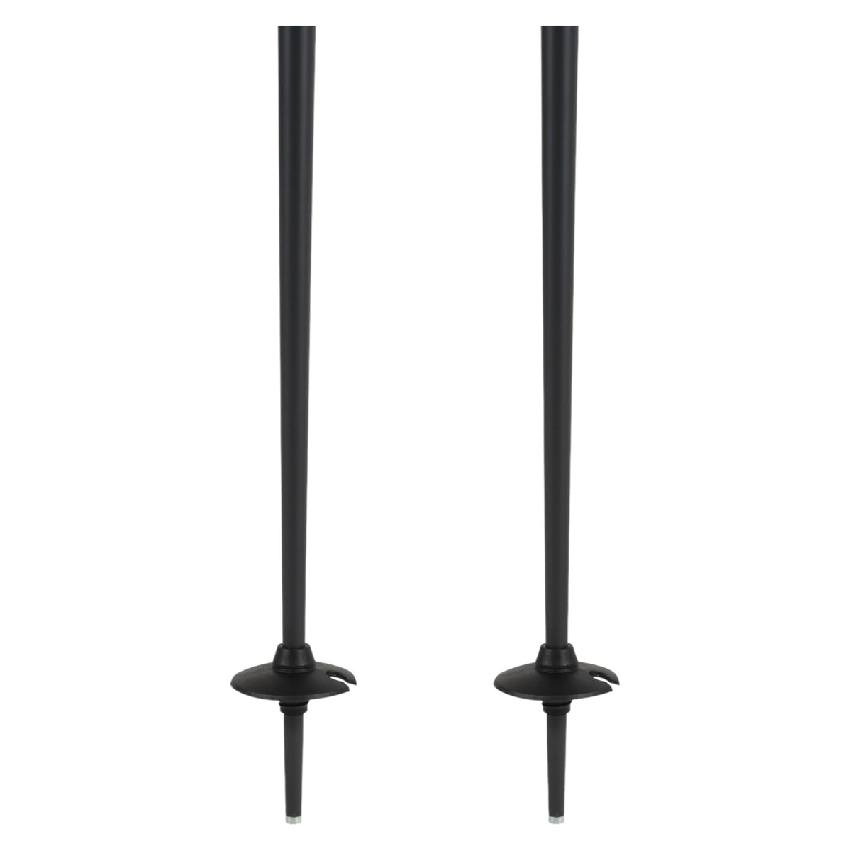 Triad Adult Ski Poles