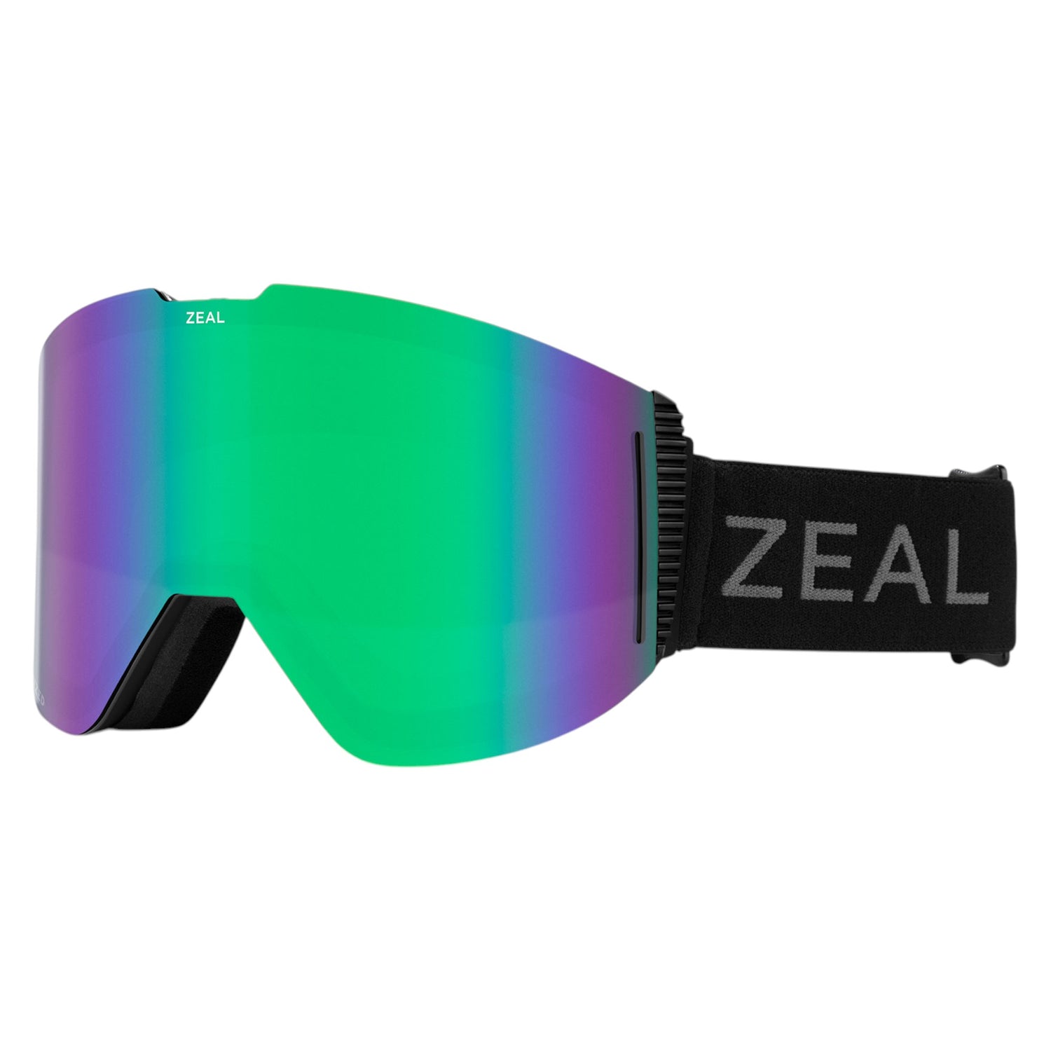 Lunettes de Ski Lookout RLS+ODT Adulte