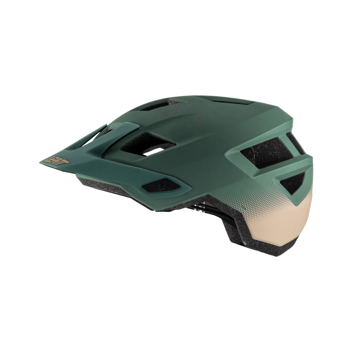 MTB ALLMTN 1.0 V22 Adult Helmet