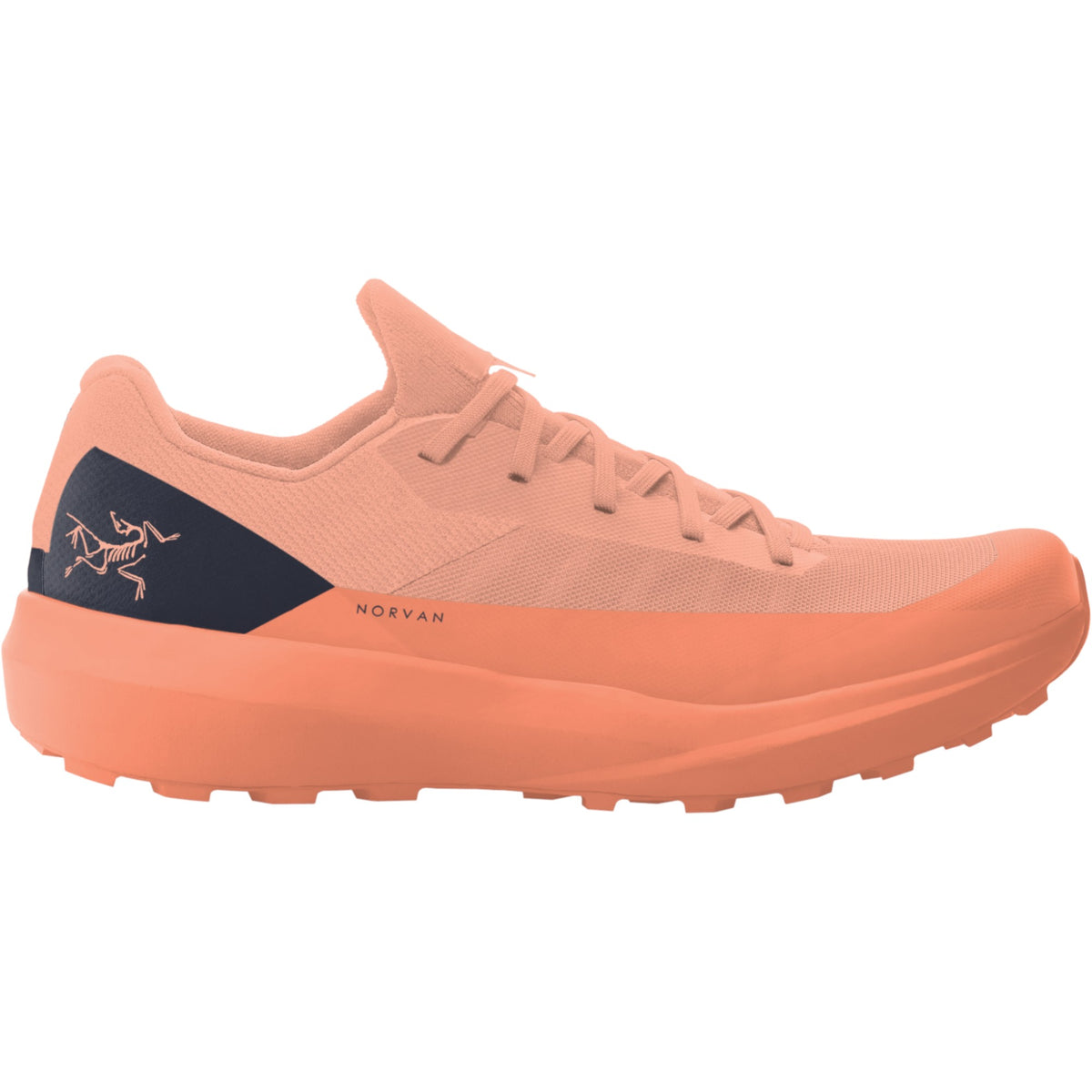 Souliers de Course de Sentier Norvan LD 4 Femme