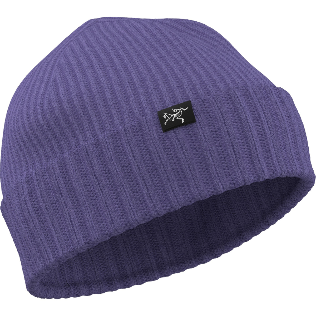 Arc'teryx Blurple.023214