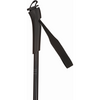 Rossignol 100