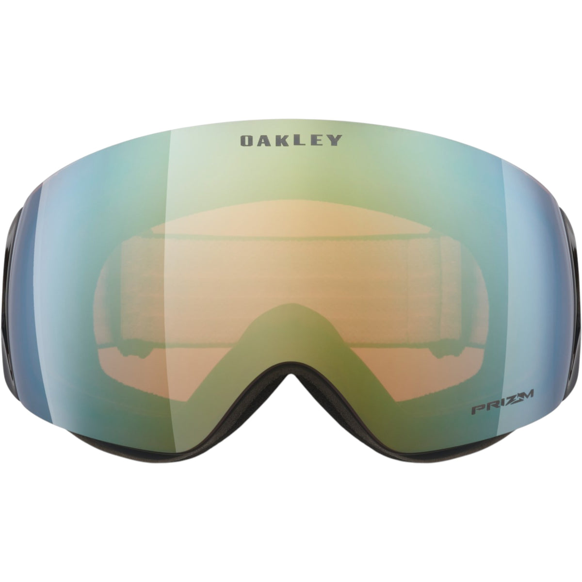 Flight Deck Adult Ski Goggles