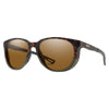 Seeker Adult Sunglasses
