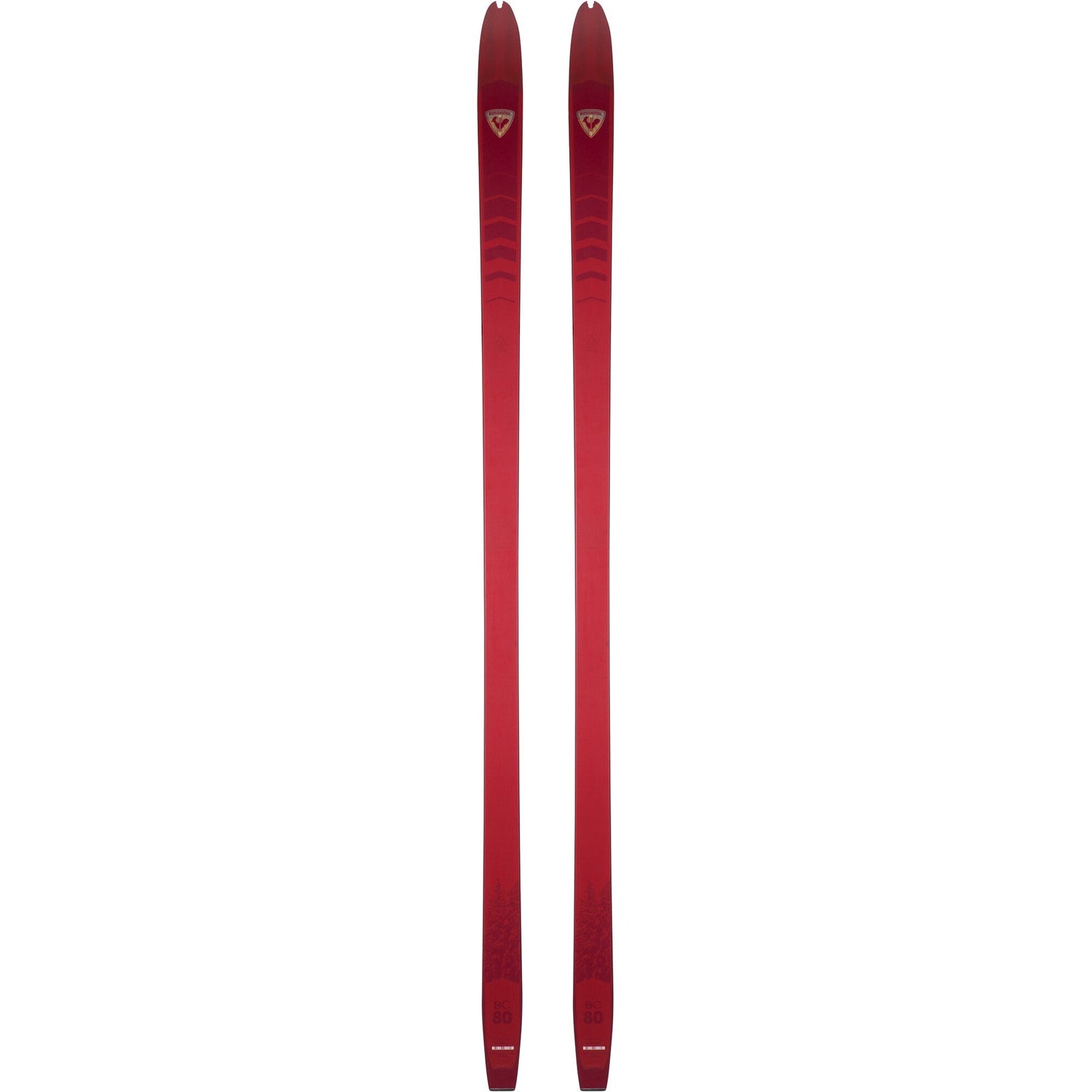 BC 80 Positrack Adult Cross-Country Skis