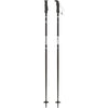 AMT Adult Ski Poles