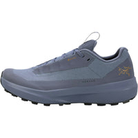 Norvan LD 4 Gtx Women Running Shoes