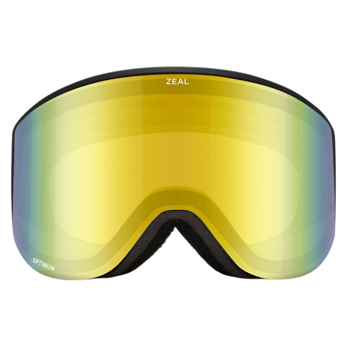 Lunettes de Ski Beacon ODT Adulte