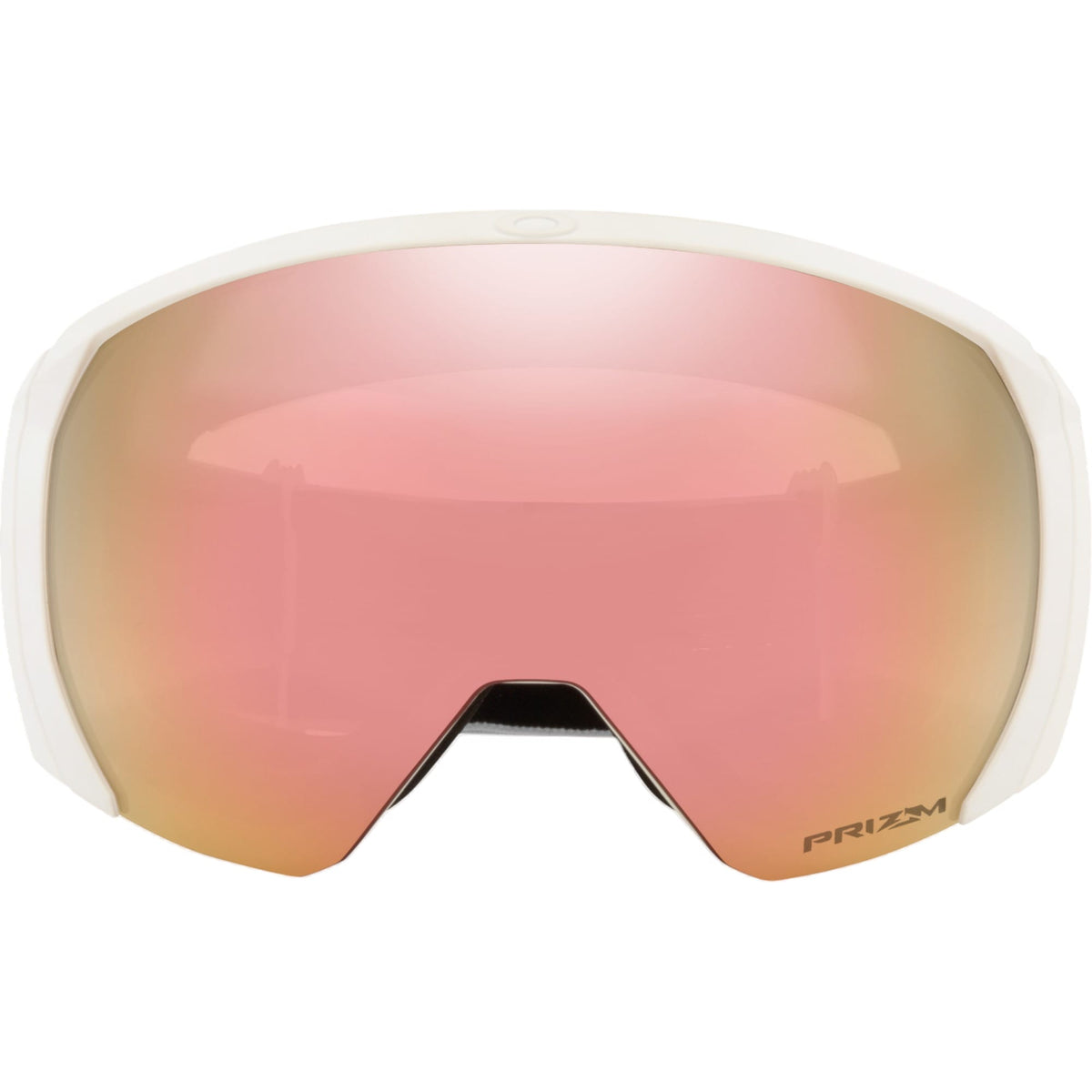 Flight Path L Adult Ski Goggles