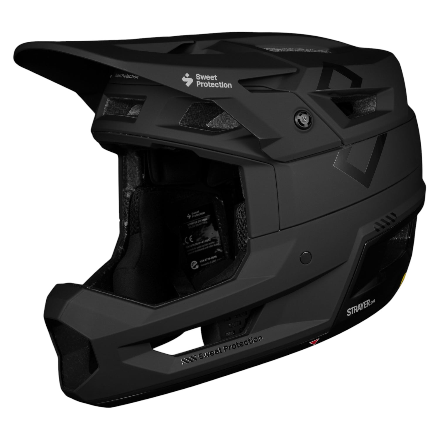 Casque Strayer 2Vi Mips Adulte