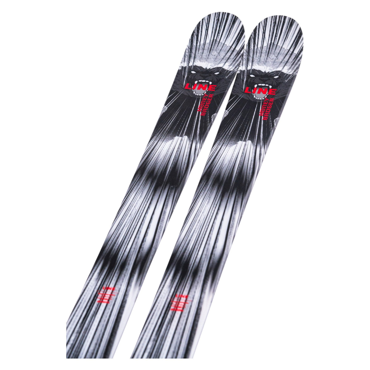 Honey Badger Adult Alpine Skis